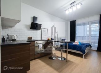 Продам квартиру студию, 28.4 м2, Санкт-Петербург, 5-й Предпортовый проезд, 2, 5-й Предпортовый проезд