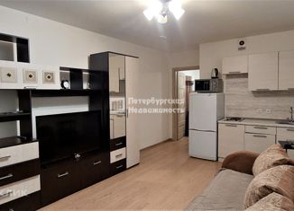 Квартира на продажу студия, 25 м2, Санкт-Петербург, проспект Энергетиков, 9к1, ЖК Зималето