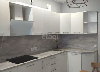 Продам 2-ком. квартиру, 54.1 м2, село Онохино, Центральная улица, 31В