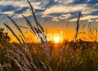 Продается земельный участок, 30 сот., деревня Погореловка