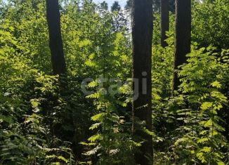 Продажа дома, 36 м2, Рахьинское городское поселение