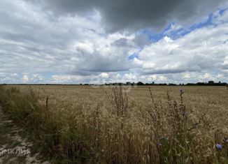 Продажа участка, 7.5 сот., деревня Паганур