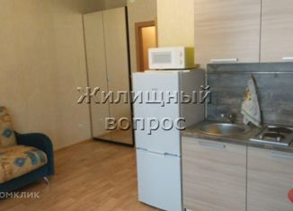 Квартира в аренду студия, 25 м2, Петергоф, Парковая улица, 16к2, ЖК Новый Петергоф