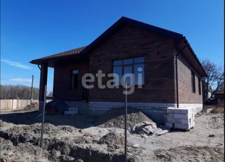 Продаю дом, 110 м2, село Толмачево