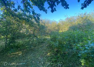 Продаю участок, 21 сот., село Федяково, Центральная улица, 1