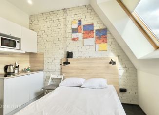 Продается квартира студия, 14.5 м2, Санкт-Петербург, Большая Московская улица, 8/2, метро Владимирская