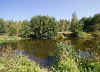 Земельный участок на продажу, 9 сот., деревня Животинки, 1-я Благодатная улица