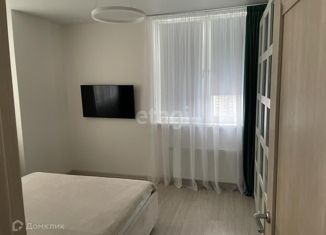 Продается 2-комнатная квартира, 63.5 м2, деревня Анкудиновка, Русская улица, 3