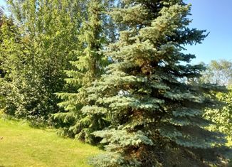 Участок на продажу, 11 сот., деревня Вашуриха, деревня Вашуриха, 6