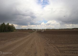 Продается земельный участок, 21.03 сот., село Борки, Филиновская улица