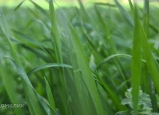 Продам участок, 6 сот., село Штормовое