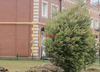 Таунхаус на продажу, 48.72 м2, посёлок Садовый, коттеджный посёлок Берёзки-Садовый, 4