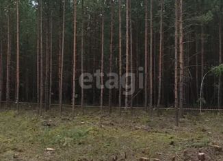 Продаю земельный участок, 8 сот., садовые участки Кооператор