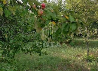 Продается участок, 35 сот., село Нижнее Турово, улица Чапаева