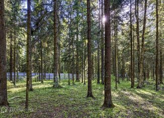 Земельный участок на продажу, 34.19 сот., территория ДЗ Шервуд, территория ДЗ Шервуд, 36