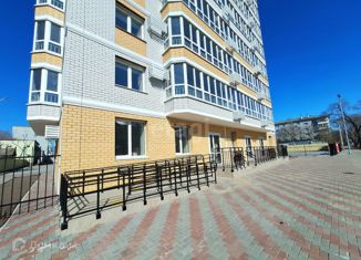 Продажа 1-комнатной квартиры, 43 м2, Амурская область, улица Ломоносова, 249