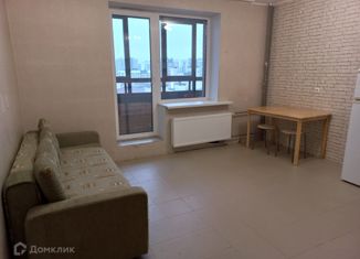 Продам квартиру студию, 23.7 м2, Мурино, улица Шувалова, 14, ЖК Созвездие