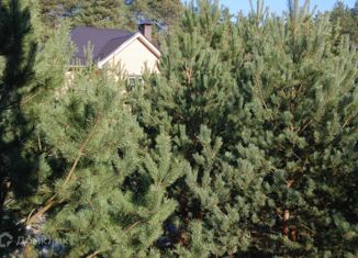 Продаю дом, 326 м2, деревня Губино, переулок Сосновый Бор