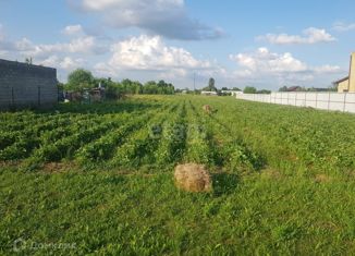 Земельный участок на продажу, 20 сот., село Великовечное, Восточная улица