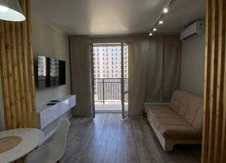 Продается квартира студия, 25 м2, Сочи, улица Искры, 88, ЖК Летний