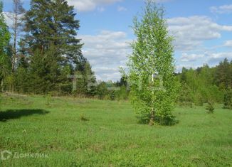 Продажа участка, 160 сот., деревня Сюрья