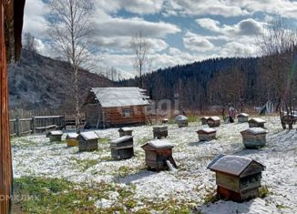 Земельный участок на продажу, 202.8 сот., село Чоя, Октябрьская улица, 8