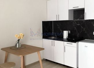 Продажа квартиры студии, 27 м2, деревня Анкудиновка, ЖК КМ Анкудиновский Парк