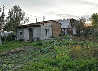 Продаю дом, 42 м2, садоводческое некоммерческое товарищество Источник-2, Центральная улица, 221