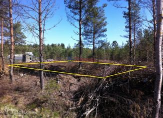 Участок на продажу, 6 сот., СНТ Надежда