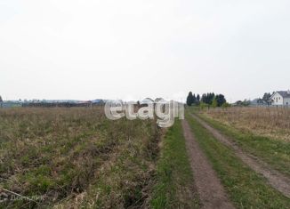 Продаю участок, 20 сот., деревня Елань