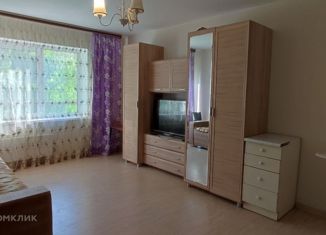 1-комнатная квартира на продажу, 35 м2, Балахна, улица Бумажников, 7