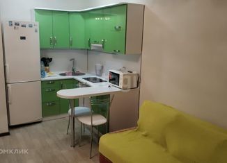 Продается квартира студия, 28 м2, Благовещенск, Северная улица, 38