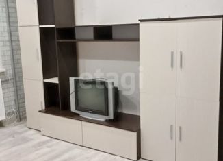 Продажа однокомнатной квартиры, 17.1 м2, Курган, Краснодонская улица, 31, жилой район Энергетики