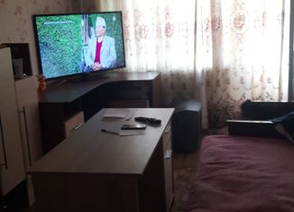 1-комнатная квартира на продажу, 30 м2, Орёл, переулок Матроса Силякова, 4, микрорайон СПЗ