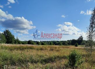 Земельный участок на продажу, 10 сот., деревня Хмелевик