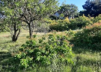 Продаю участок, 6 сот., садоводческое товарищество Катран, садоводческое товарищество Катран, 17