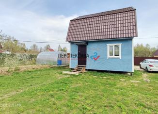 Продается дом, 45 м2, деревня Крутицы, деревня Крутицы, 31