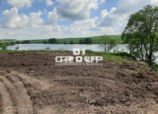 Продажа земельного участка, 40 сот., село Пестрецы, улица Гаврилова