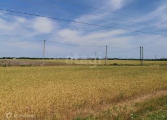 Продажа земельного участка, 5 сот., СНТ Белгорос, Новгородская улица