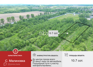 Земельный участок на продажу, 10.7 сот., село Малиновка, Центральная улица, 20Г