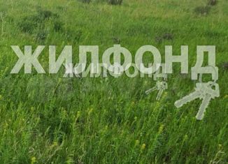 Продаю участок, 15 сот., село Красный Яр, Полевая улица