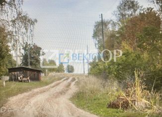 Дом на продажу, 50 м2, село Буньково, 24Н-023