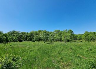 Продажа участка, 177.1 сот., село Краснореченское, Центральная улица