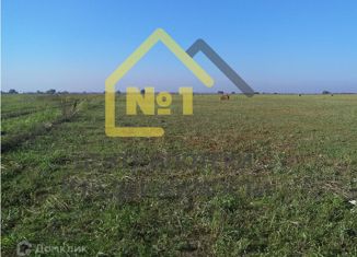 Продам земельный участок, 900 сот., село Селезян