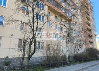 Продажа 2-комнатной квартиры, 47.5 м2, Санкт-Петербург, проспект Ударников, 43к3