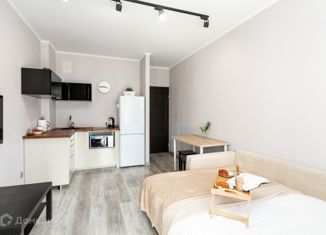 Сдается квартира студия, 30 м2, Санкт-Петербург, улица Катерников, 7, улица Катерников