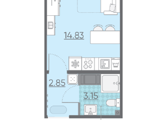 Продается квартира студия, 20.7 м2, Санкт-Петербург, метро Гражданский проспект