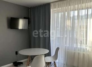 Продается квартира студия, 24 м2, посёлок Западный, Просторная улица, 2