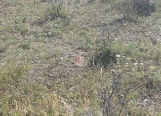 Продажа участка, 6.17 сот., село Ивановка, Лесная улица