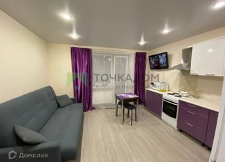Аренда квартиры студии, 27.3 м2, посёлок Мурино, улица Шоссе в Лаврики, 59к1